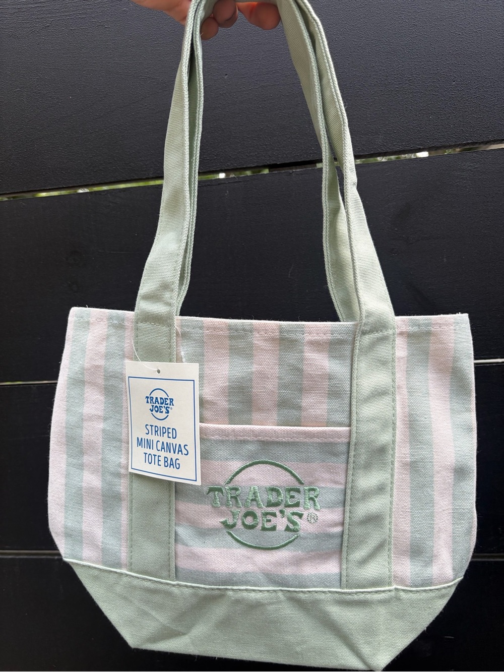 Trader Joe’s Mini Canvas Tote Bag Striped Green NWT Summer 2026 Limited Release